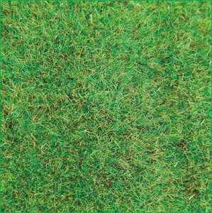 mS͌^nÐms (HO) SM-04 V[i[}bg H̗ M