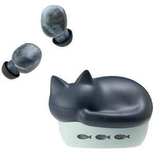 fBEX SCX BluetoothCziNj HP-C28BTK radius@NEKO