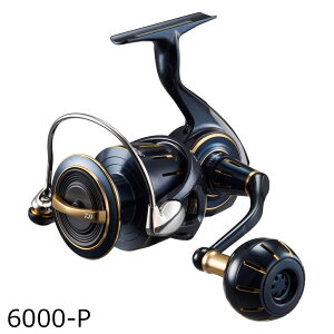 _C 23 \eBK 6000-P 23\eBK 6000-P DAIWA 23SALTIGA 24Nǉf