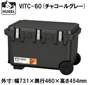 ACXI[} HUGEL(q[Q) ^fMN[[{bNX@60L(`R[O[)y^fMpl6ʁz VITC-60`R-O-