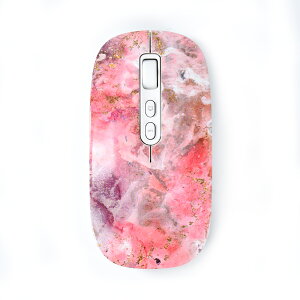 EGRET Bluetooth  2.4GΉV[o[tA[dÉ}EX@PrettiEiࣁj EM23-P1
