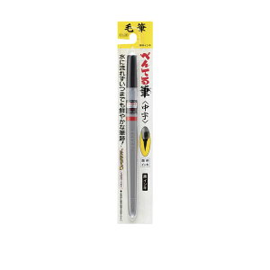 ؂Ă My  痿CL  Pentel ؂ĂM XFP5M