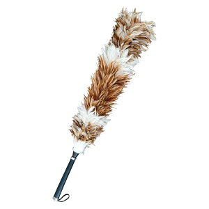 т΂ { S90.5cm ԗpi쏊 Po^LPCE90.5