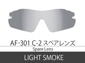 AirFly(GAtC) XyAY AF-301 C-2(CgX[N)yŶ݁z AF-301-2