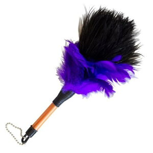 ~jт΂ I[Xgb`{ S21cm ԗpi쏊 ~jPo^LI-Xgc`21CM