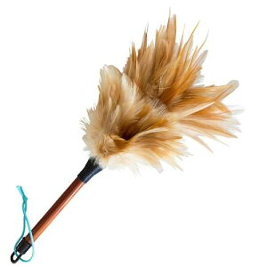 ~jт΂ { S25cm ԗpi쏊 ~jPo^LPCE25