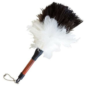 ~jт΂ I[Xgb`{ S21cm ԗpi쏊 ~jPo^LI-Xgc`21CMN