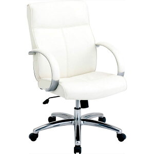 iJoV GO[NeBu`FAizCgj RZE-A210W Nakabayashi [RZEA210W]