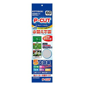 ANAEpi PEJbgtB^[60 Wp H| PJcgtC^-60