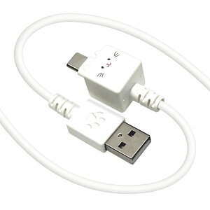 ���X�^�o�i�i USB-A to Type-C ���������P�[�u�� 1m ���o�ɂ�[�i�������j R10CAAC3A06MCC