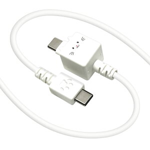 ���X�^�o�i�i Type-C to Type-C ���������P�[�u�� 1m ���o�ɂ�[�i�������j R10CACC3A08MCC