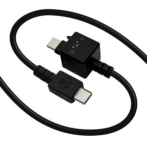 ���X�^�o�i�i Type-C to Type-C ���������P�[�u�� 1m ���o�ɂ�[�i���܁j R10CACC3A08GOM