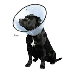 pi pi VETJ[ LTCY GUxXJ[ t@^W[[h FWVETJ-L