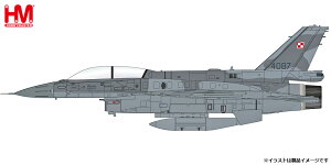 zr[}X^[ 1/72 F-16D "|[hR 31pqRn bhtbO 2012"yHA38041z hϊi