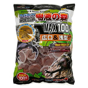 [[ ChJbvt̐X 100 tWR ChJcvWGLm100P