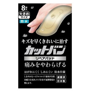 JbgoyApbh 傫߃TCY 8 SiH JcgoyApchIIL8