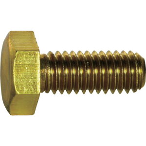 gXRR Zp{g  SlW M8×15 6{ Y501-0815