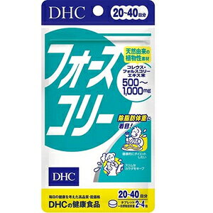 DHCtH[XR[ 80 DHC 20j`tI-XR-