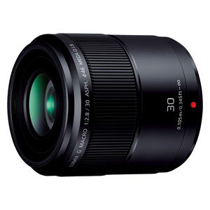 pi\jbN LUMIX G MACRO 30mm/F2.8 ASPH./MEGA O.I.S. H-HS030 }CNtH[T[YpY
