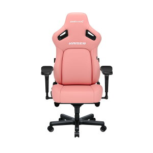 Andaseat KAISER 4iN[~[sNj Q[~O`FA A_V[g AD12YDDC-L-20-P-PV/C
