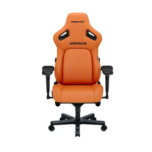 Andaseat KAISER 4iuYIWj Q[~O`FA A_V[g AD12YDDC-L-20-O-PV/C