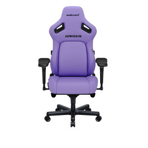 Andaseat KAISER 4iXJCp[vj Q[~O`FA A_V[g AD12YDDC-L-20-V-PV/C