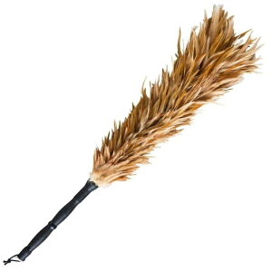 т΂ { S66cm ԗpi쏊 Po^L PCE