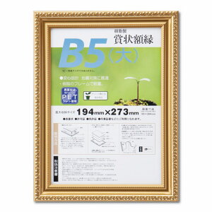 ��� �����[R PET B5�i��jSP 33J045B1600