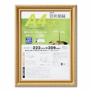 ��� �����[R PET A4�i��jSP 33J045B2500