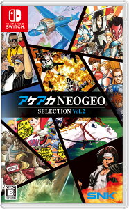 SNK ySwitchzAPAJNEOGEO ZNV Vol.2 [HAC-P-BK45A NSW APAAJ lIWI ZNV2]