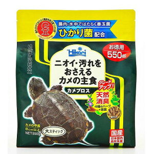 Jp Ђ JvX XeBbN 550g L[ JvX550G