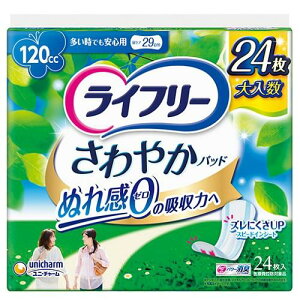 Ct[ ₩pbh łSp 120cc 24 jE`[ Ct-TJpcgIIC24P