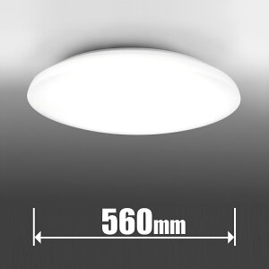  10`12p LEDV[OCgyJ`bgz NLEH12030E-LC TOSHIBA VvfUCiZ[hj EF^Cv [NLEH12030ELC]