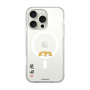 abbi iPhone 16 Pro�p ���΂����� MagSafe�Ή��N���A�P�[�X�i���Q�j ABF27209I16PR