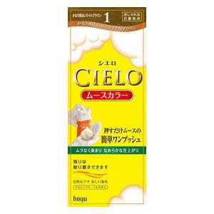 VG [XJ[ 1 iȂ薾邢CguEj z[[ VG-XJ-1