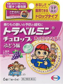 【第2類医薬品】トラベルミン チュロップぶどう味 エーザイ トラベルミンチエロツプ 6ジヨウ [トラベルミンチエロツプ6ジヨウ]【返品種別B】