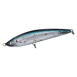 �_�C�� �\���e�B�K �J�h���[ 185F (�V�u�L) �\���e�B�K�J�h���[185F(�V�u�L) DAIWA SALTIGA CUDDLER �_�C�r���O�y���V��