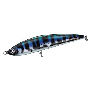 �_�C�� �\���e�B�K �J�h���[ 185F (�A�W�A��) �\���e�B�K�J�h���[185F(�A�W�A��) DAIWA SALTIGA CUDDLER �_�C�r���O�y���V��