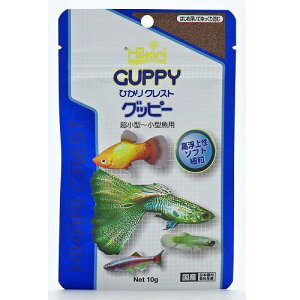 Obs[fP[gȏ^p ЂNXgObs[ 10g L[ Ocs-10G