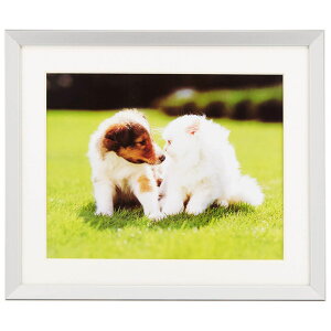 フジカラー アルミ額縁 A10N 6切(シルバー)(前面板-ガラス板) アルミガクブチA10N 6 SV FUJICOLOR