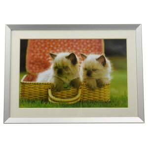 フジカラー アルミ額縁 A10N ワイド6切(シルバー)(前面板-ガラス板) アルミガクブチA10N W6 SV FUJICOLOR