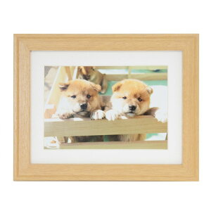 フジカラー 木製額縁 YM-9 キャビネ/2L(木地)(前面板-PET) モクセイF-YM-9-K(2L)-キジ FUJICOLOR