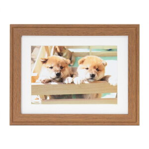 �t�W�J���[ �ؐ��z�� YM-9 �L���r�l/2L�i�u���E���j�i�O�ʔ�-PET�j ���N�Z�CF-YM-9-K(2L)-BR FUJICOLOR