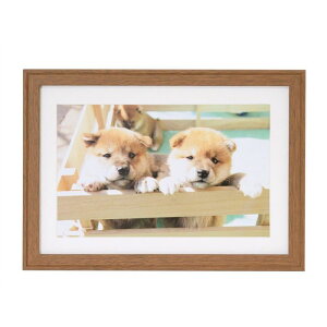 tWJ[ ؐz YM-9 Ch6؁iuEjiOʔ-PETj NZCF-YM-9-W6-BR FUJICOLOR