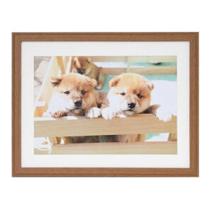 tWJ[ ؐz YM-9 Ch4؁iuEjiOʔ-PETj NZCF-YM-9-W4-BR FUJICOLOR