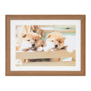 tWJ[ ؐz YM-9 A4iuEjiOʔ-PETj NZCF-YM-9-A4-BR FUJICOLOR