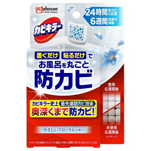 JrL[CɒuhJrWF ₳t[̍ { W\ JrL-{JrWGt-