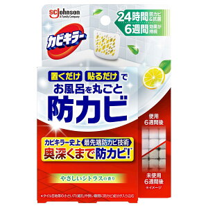 JrL[CɒuhJrWF ₳VgX̍ { W\ JrL-{JrWGVgX