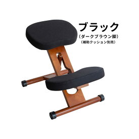 宮武製作所 プロポーションチェア（ダークブラック） CH-DBR88W_BK MIYATAKE [CHDBR88WBK]