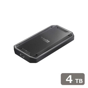 SanDisk ProfessionalbTfBXNvtFbVi Thunderbolt 3/USB-C Ή |[^uSSD 4TB SDPS31H-004T-GBC1D